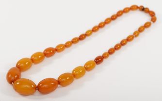 A butterscotch amber Bakelite graduated bead necklace, 28 - 11mm beads, 50cm, 46gm