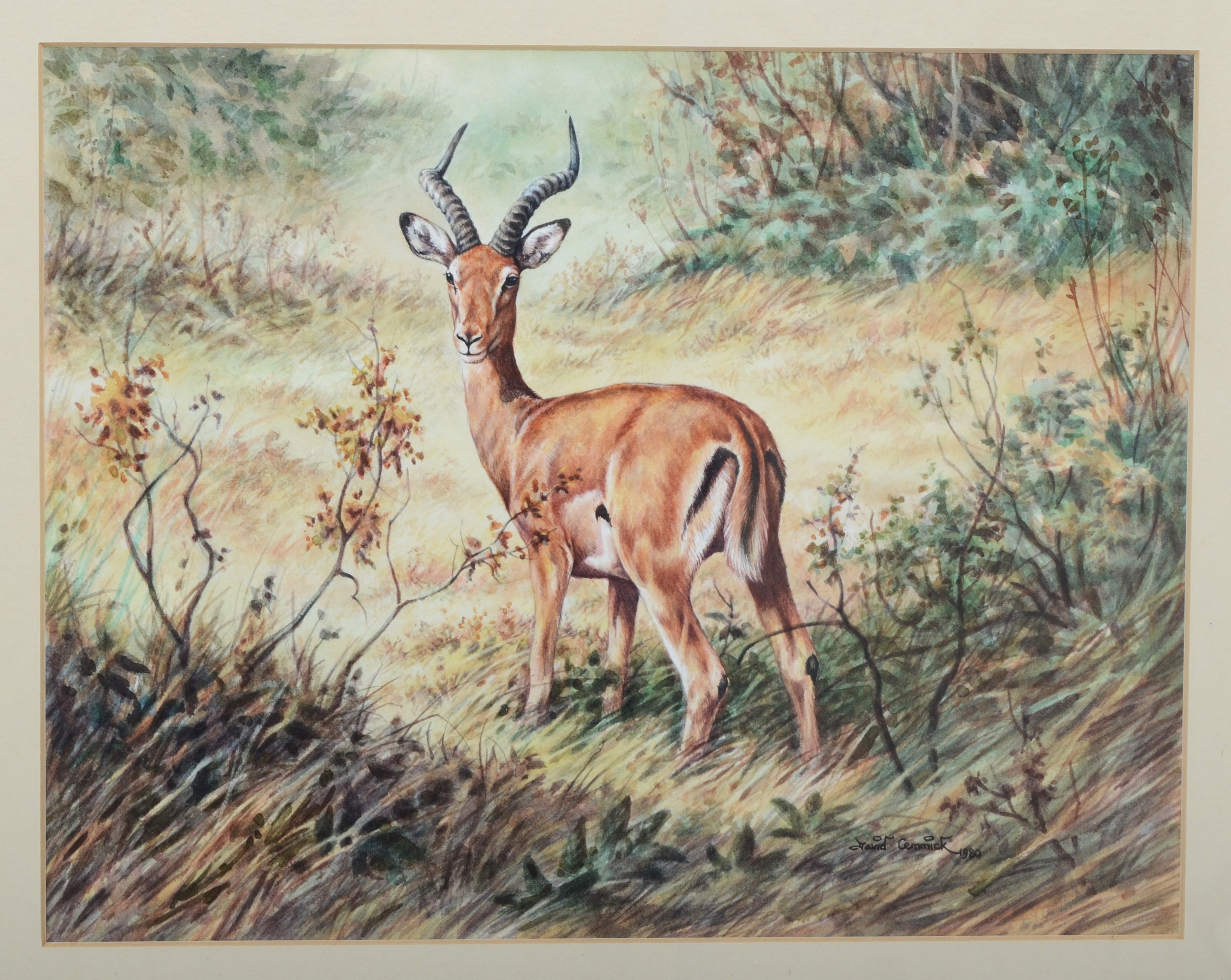 David Cemmick (20th century), Impala in Amboseli Reserve in Kenya, watercolour on paper, signed - Image 2 of 2