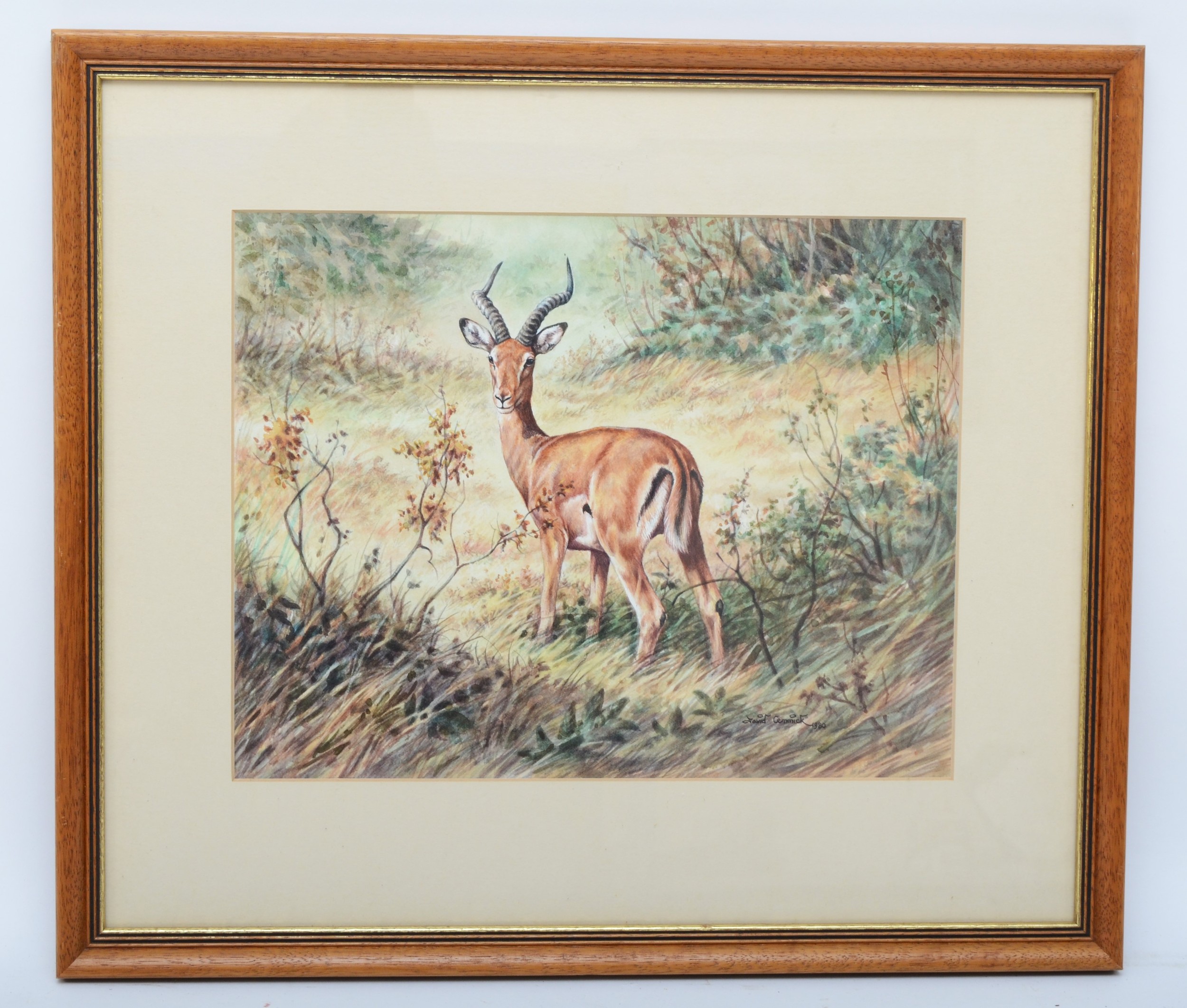 David Cemmick (20th century), Impala in Amboseli Reserve in Kenya, watercolour on paper, signed