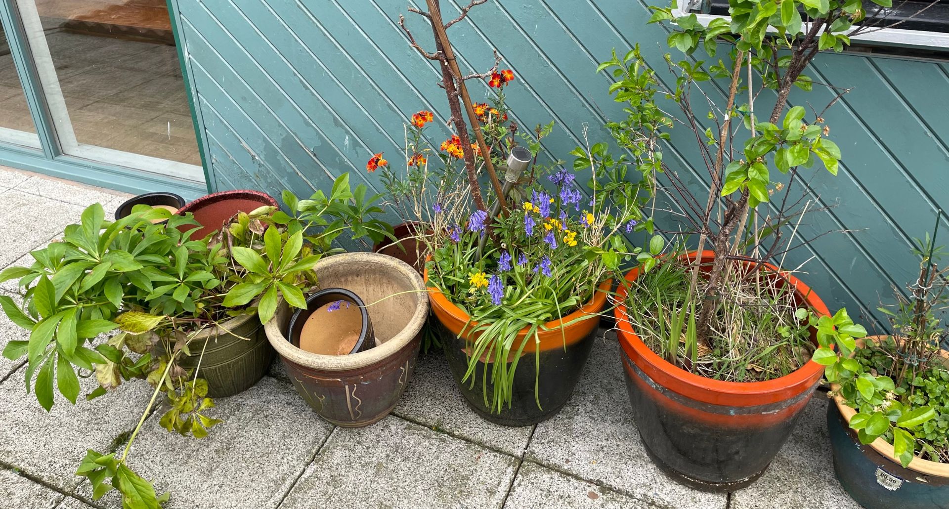 A collection of glazed stoneware garden planters of various sizes. - Image 2 of 3