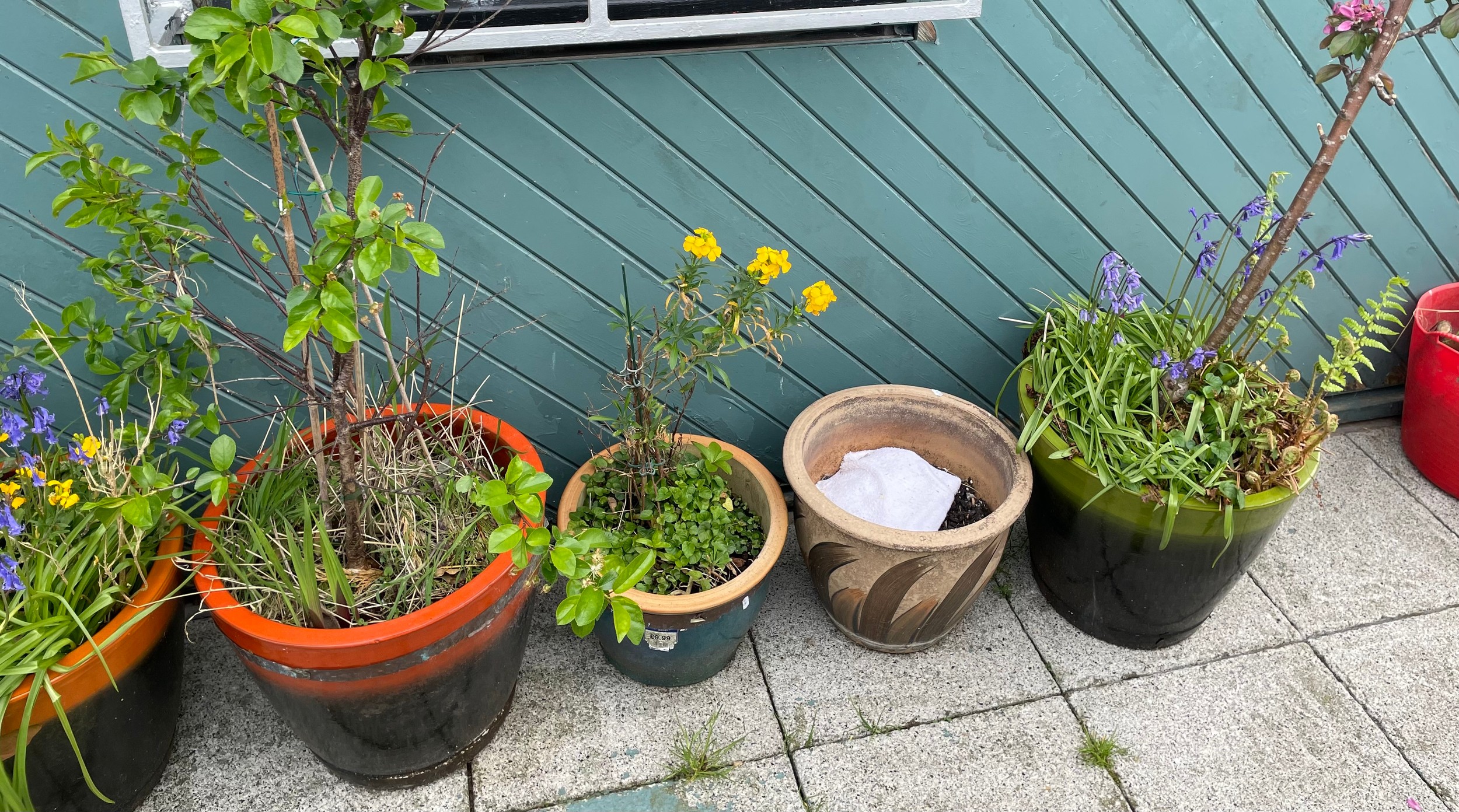 A collection of glazed stoneware garden planters of various sizes. - Image 3 of 3