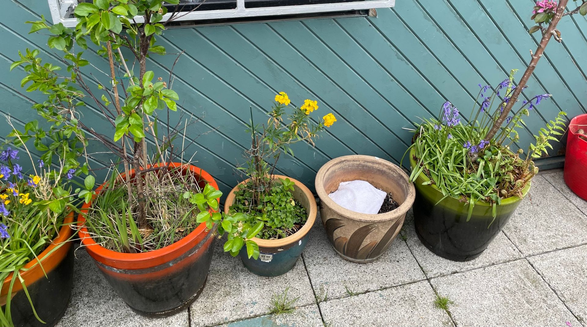 A collection of glazed stoneware garden planters of various sizes. - Image 3 of 3