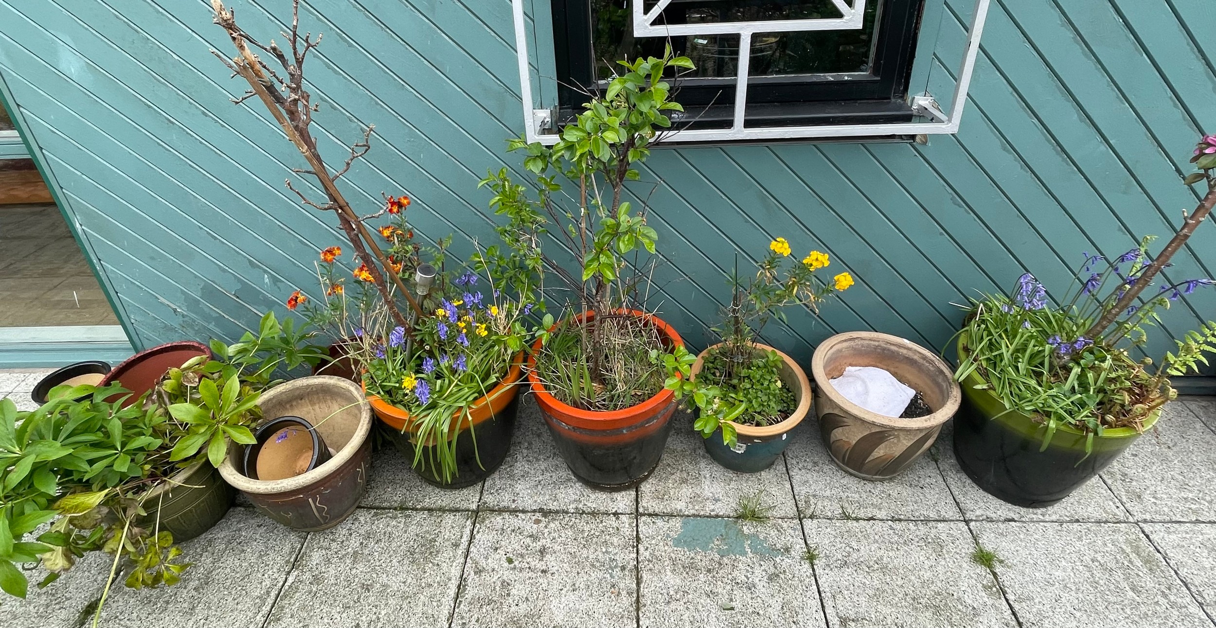 A collection of glazed stoneware garden planters of various sizes.