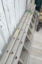 Light trade aluminium extending Ladders.