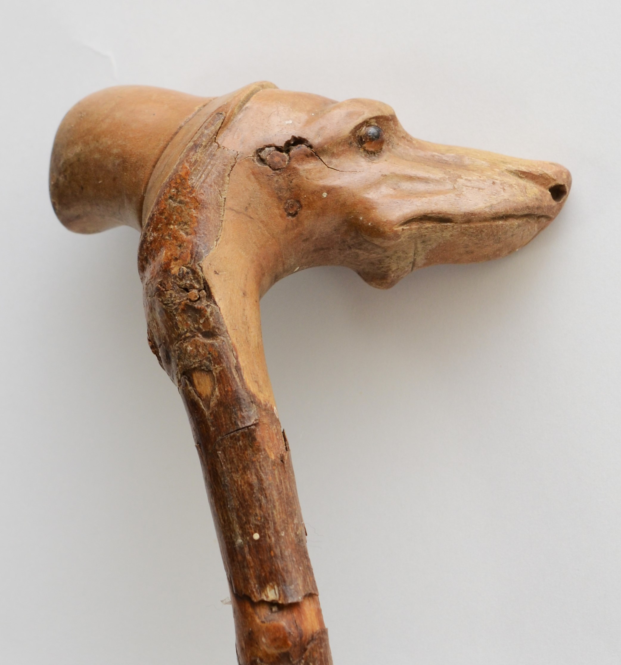 A late 19th century carved fruitwood walking stick, the carved dogs head terminal with glass bead - Image 2 of 6