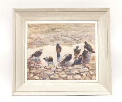 Elizabeth O'Rourke, oil on board, depicting a group of rock doves drinking from a stream, 29x24cm.