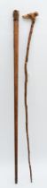A late 19th century carved fruitwood walking stick, the carved dogs head terminal with glass bead