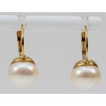 A pair of 375 gold and 9mm cultured pearl ear rings