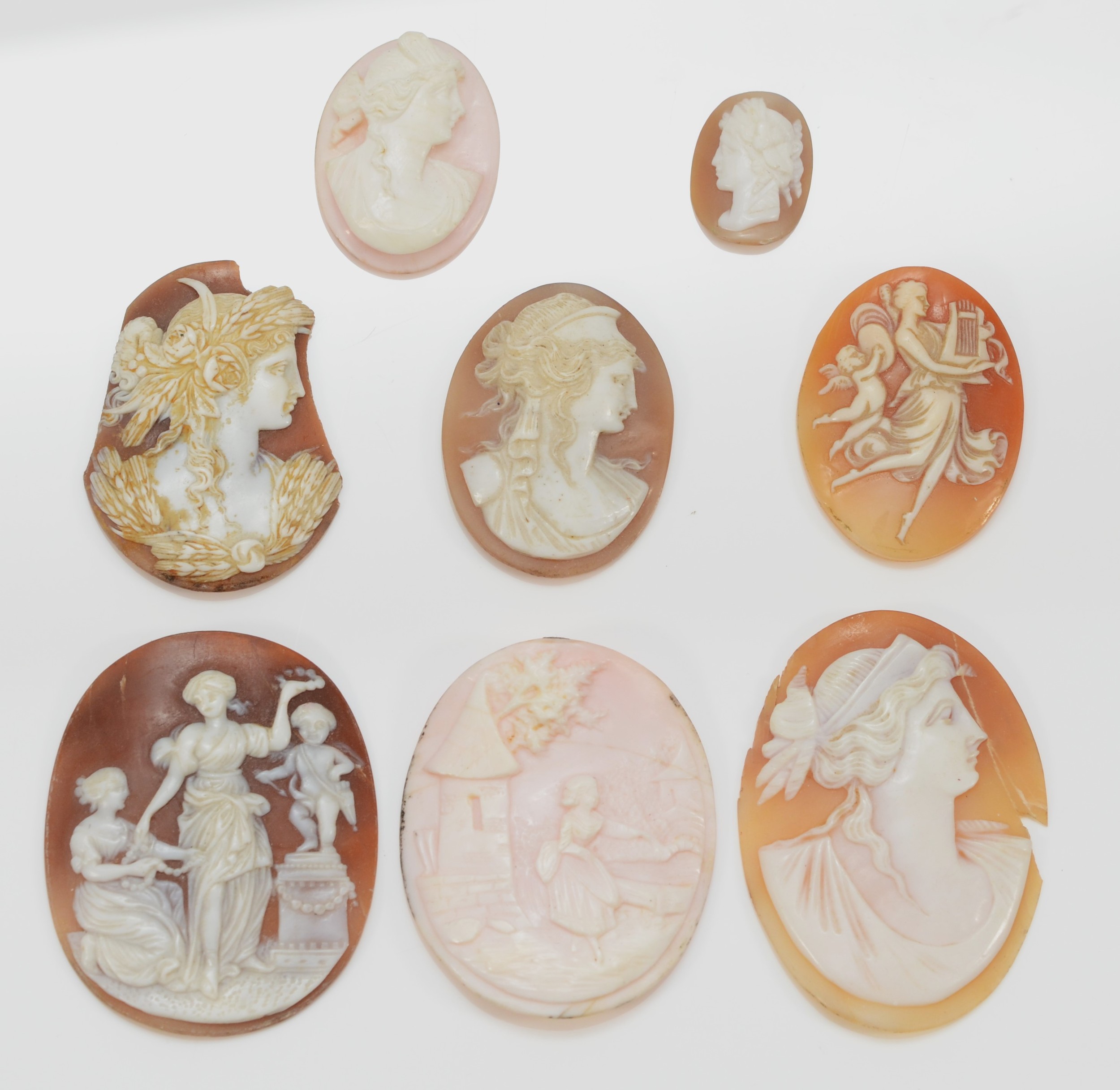An oval shell cameo depicting two maidens by Cupid, 48 x 38mm, two counch shell cameos and five