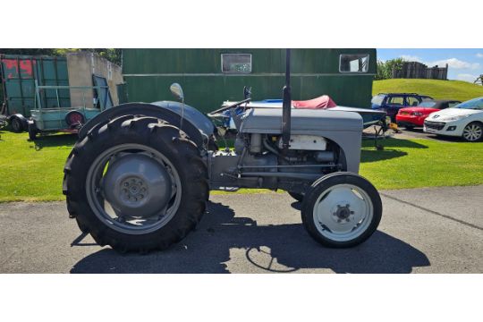 1951 Ferguson T20 petrol tractor. Registration number NTA 658 (non transferrable). Chassis number - Image 1 of 8