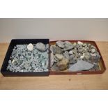 A selection of fossils including ammonites and a box of sea glass, perfect for jewellery making