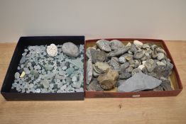 A selection of fossils including ammonites and a box of sea glass, perfect for jewellery making