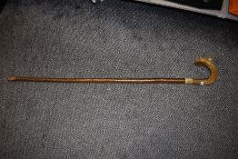 A vintage hazel walking stick having horn handle.