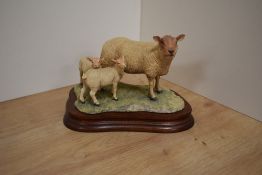 A limited edition Border Fine Arts sheep group 'Charollais Ewe & Lambs' number 618/7502, designed by