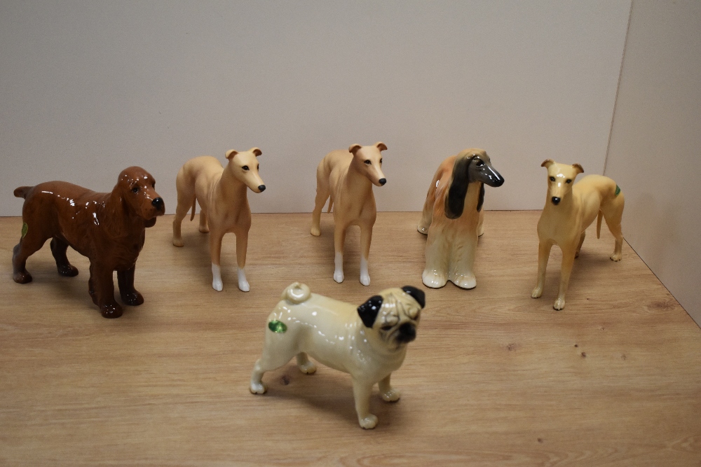 A group of six Beswick Pottery mid-sized dog studies, comprising three Greyhounds 'Champion Jovial