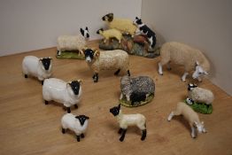 A group of three Beswick Pottery black-faced sheep, comprising two number 1765 designed by Mr Garbet