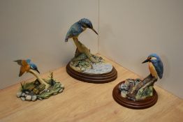 A group of three Border Fine Arts Kingfisher studies, two designed by Ray Ayres and one by Willis,