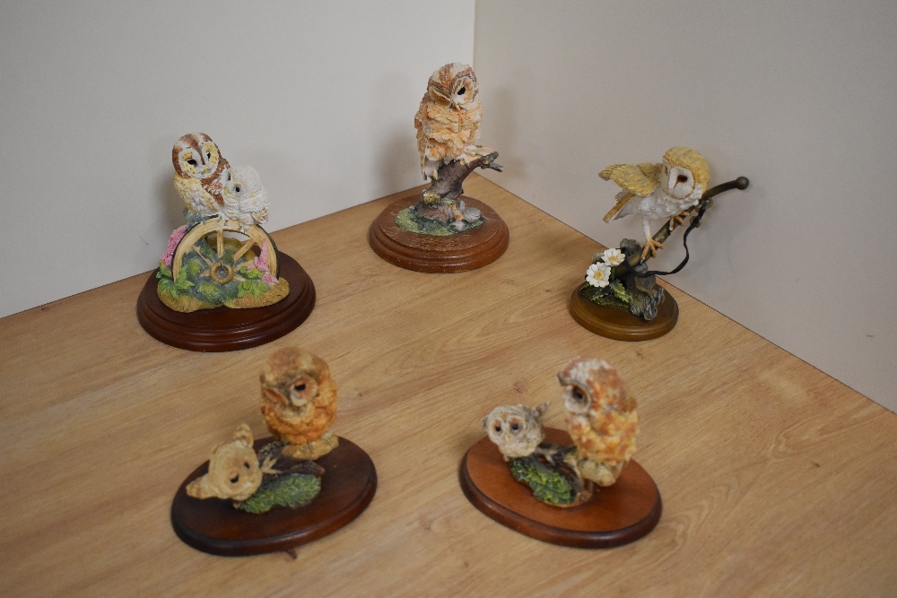 A group of Three Border Fine Arts owl studies, to include tawny owl and chick, 652008, designed by