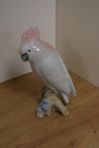 A mid-century Royal Dux porcelain ornithological study of a pink crested cockatoo, modelled