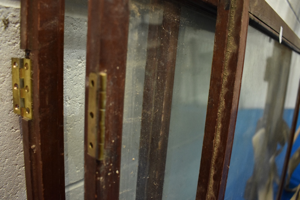A set of four vintage glazed shop cabinet doors - Image 3 of 3