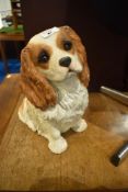 A Sandicast cavalier King Charles spaniel