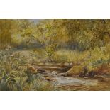 N.Howroyd (19th/20th Century), watercolour, A river within a woodland setting, signed and dated 1906