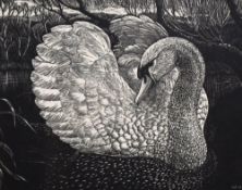 20th Century, woodblock print, Swan, initials 'W.W.' to the lower right, framed, mounted, and