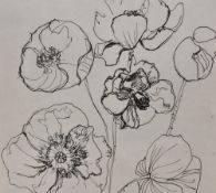 Michael Jefferson-Brown (20th Century, British horticulturist), pen & ink, 'Poppies', signed to