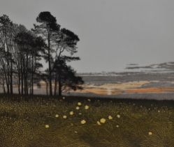 Phil Greenwood (b.1943, British), aquatint etching, 'Celtic Poppies', a colourful depiction of