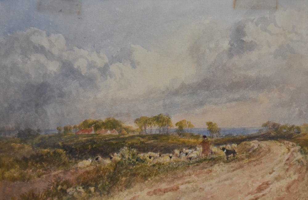 Attributed to Claude Hayes (1852-1922, British), watercolour, 'Landscape with sheep grazing', signed