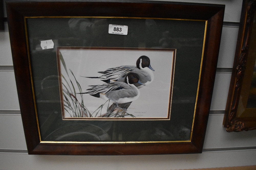 A framed and glaze print, 'Pintail Pals'.
