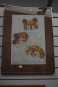 20th Century, pastel, A portrait of Pekingese terriers, signed to the lower left, framed, mounted,