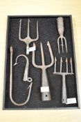 An interesting collection of 19th Century wrought iron fish spears and hooks or eel forks, the larg