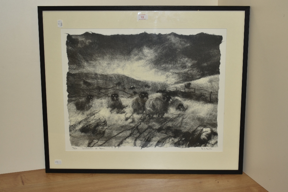 After Andrea Hunter (Yorkshire Contemporary), print of felted wool, 'Swaledales at Home', signed to - Image 2 of 5