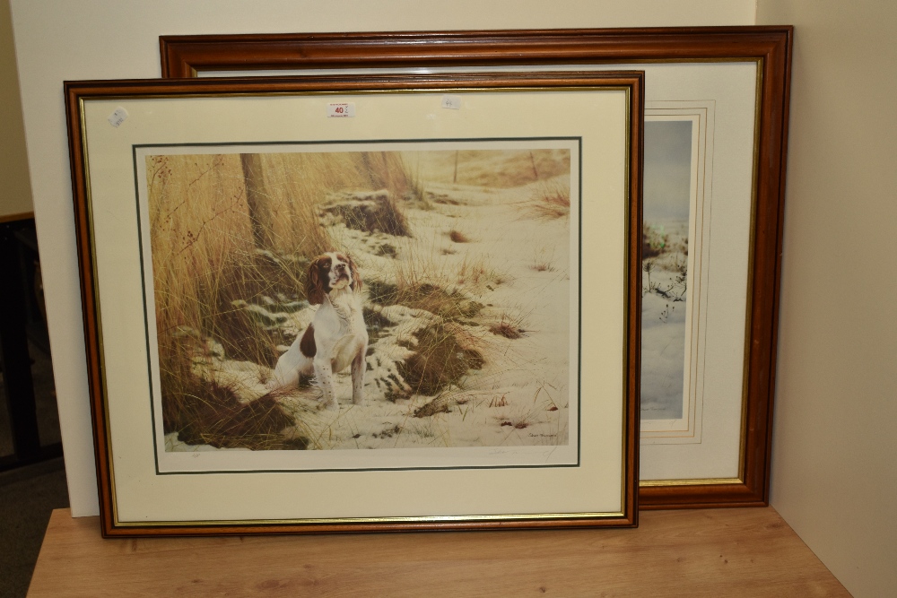 After Steven Townsend (b.1955, British), Artist's Proof, 'Anticipation' Springer Spaniel, signed - Image 2 of 2