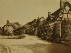 Selma Lane (19th/20th Century), etching, 'Trees at Otterton', signed to the lower right, framed,