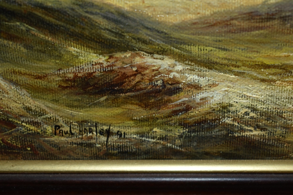 *Local Interest - Paul Harley (20th Century, British), oil on canvas, 'The Brathay, Langdale', ' - Image 5 of 7