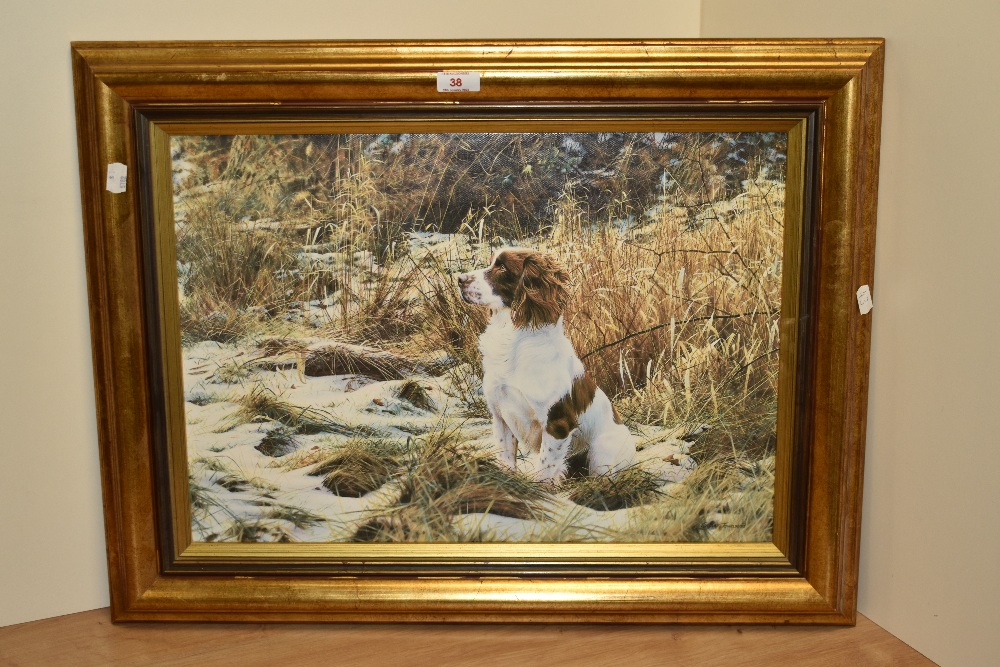 After Steven Townsend (b.1955, British), canvas print, 'Tribute to Dash - Springer Spaniel', - Image 2 of 3