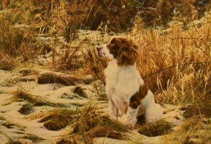 After Steven Townsend (b.1955, British), canvas print, 'Tribute to Dash - Springer Spaniel',