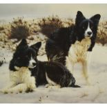 After Steven Townsend (b.1955, British), Artist's Proof, 'Anticipation' Springer Spaniel, signed