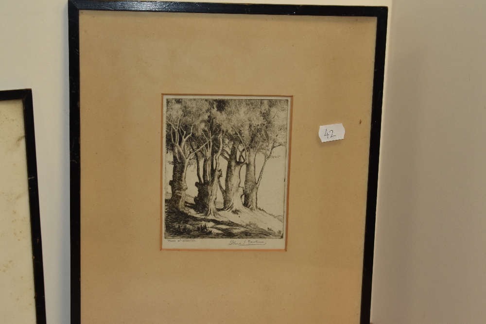 Selma Lane (19th/20th Century), etching, 'Trees at Otterton', signed to the lower right, framed, - Image 3 of 6