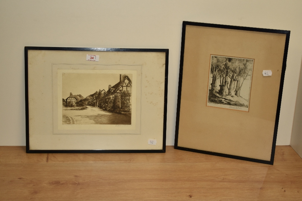 Selma Lane (19th/20th Century), etching, 'Trees at Otterton', signed to the lower right, framed, - Image 2 of 6