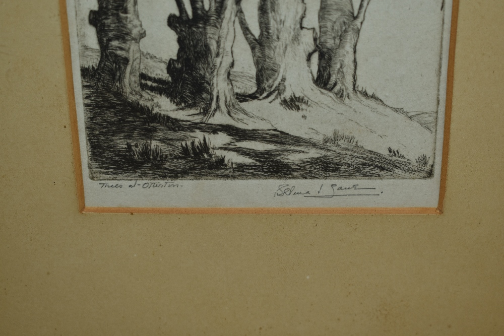 Selma Lane (19th/20th Century), etching, 'Trees at Otterton', signed to the lower right, framed, - Image 5 of 6