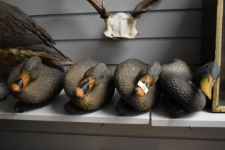 Four decoy ducks