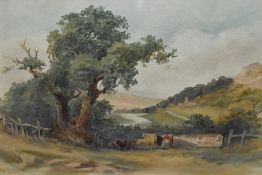20th Century School, oil painting, A pastoral landscape depicting cattle sheltering under a tree