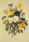 After Pierre-Joseph Redoute (1759-1840, French), coloured prints, The Fairest Flowers, six botanical