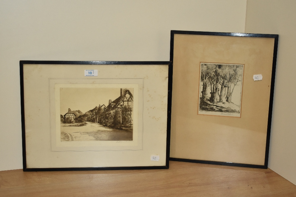 Selma Lane (19th/20th Century), etching, 'Trees at Otterton', signed to the lower right, framed, - Image 2 of 6