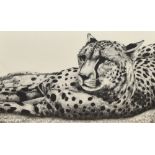 After Helene Burrow (20th Century), monochrome print, 'Cheetah', limited edition 4/200, framed,