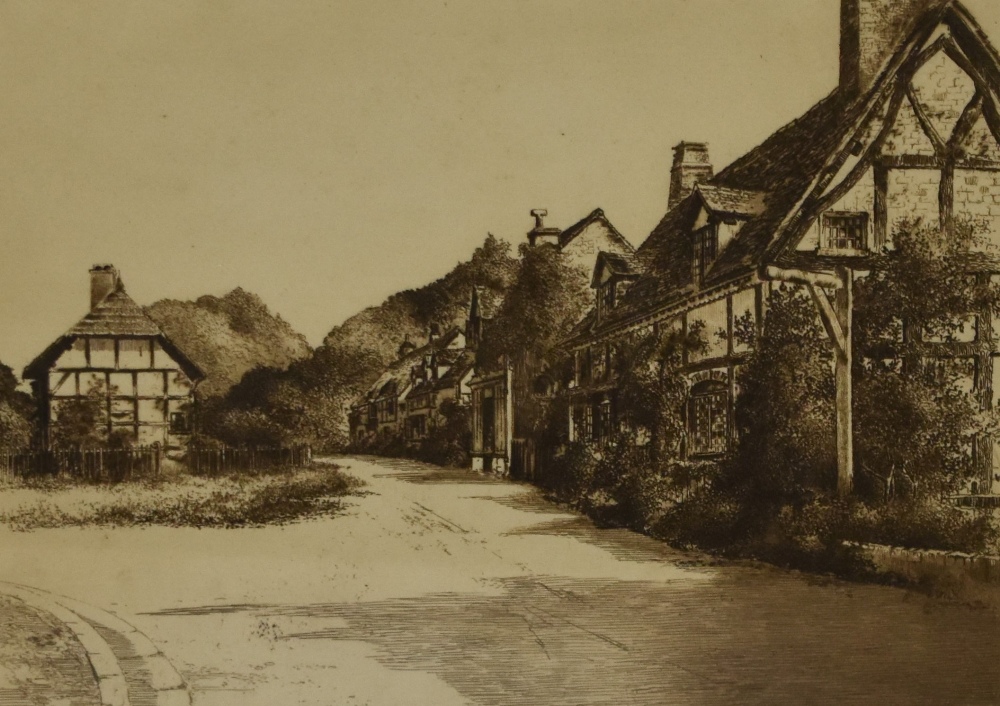 Selma Lane (19th/20th Century), etching, 'Trees at Otterton', signed to the lower right, framed,