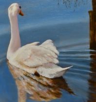 20th Century School, oils on board, Two late 20th Century studies, 'Swan On Urswick Tarn', by Anne